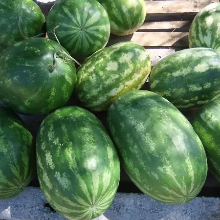 Kuca Nebeska Viganj