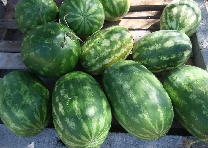Kuca Nebeska Viganj