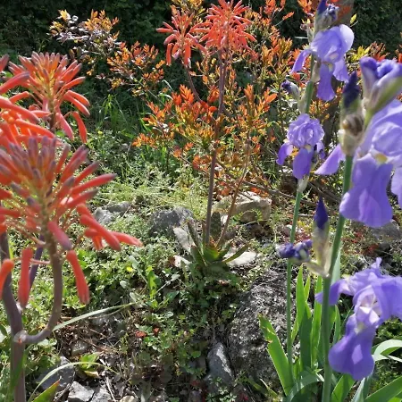 Apartman Kuca Nebeska Viganj